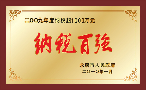 Top 100 Taxpayers 2009